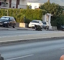 Slika PU_SD/24 sata.bmp